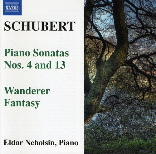 Schubert: Piano Sonatas No. 4 & 13, Wanderer Fantasy / Nebolsin