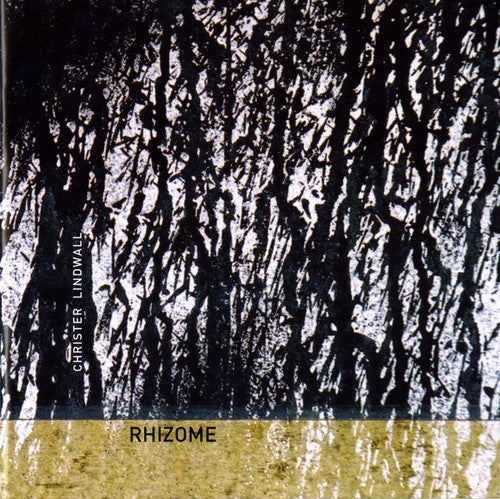 Rhizome