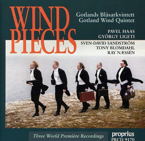 Wind Pieces