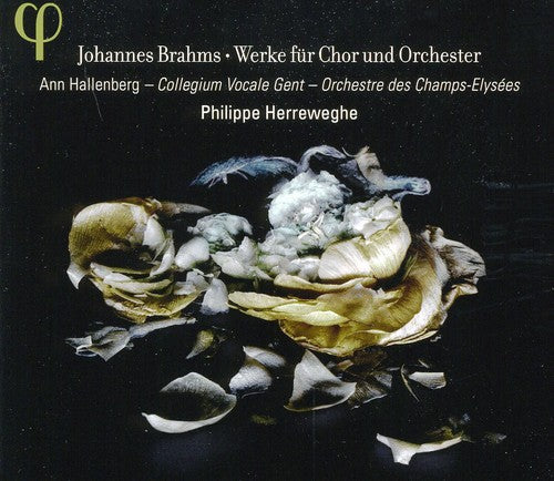 Brahms: Works For Chorus And Orchestra /   Hallenberg, Herreweghe, Collegium Vocale