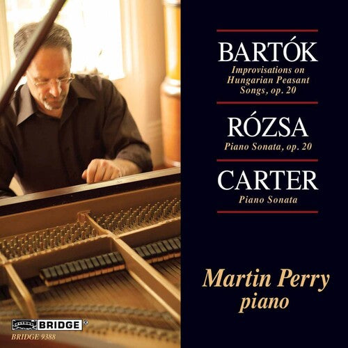 MARTIN PERRY PLAYS BARTOK, ROZ