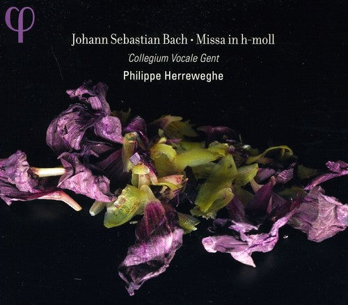 Bach: Mass In B Minor / Herreweghe, Collegium Vocale Ghent