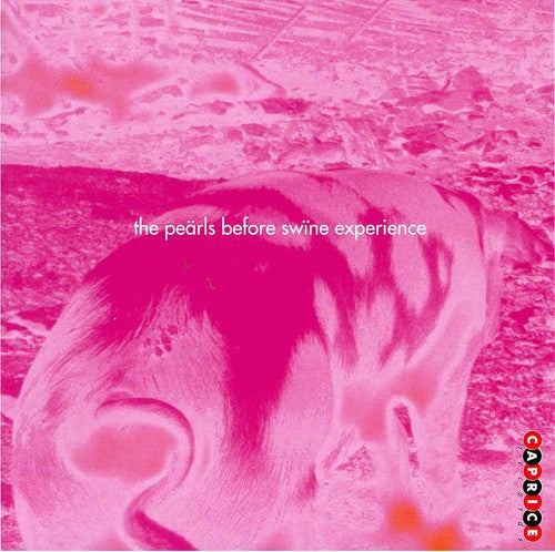 The Pearls Before The Swine Experience