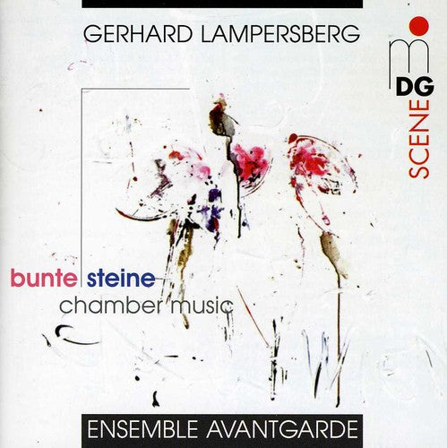 BUNTE STEINE, CHAMBER MUSIC