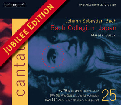 Bach: Cantatas Vol 25 / Suzuki, Bach Collegium Japan