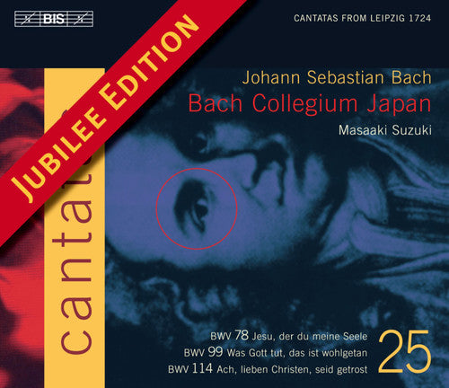Bach: Cantatas Vol 25 / Suzuki, Bach Collegium Japan