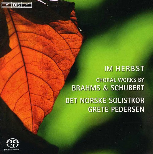 Im Herbst - Choral Works By Brahms & Schubert