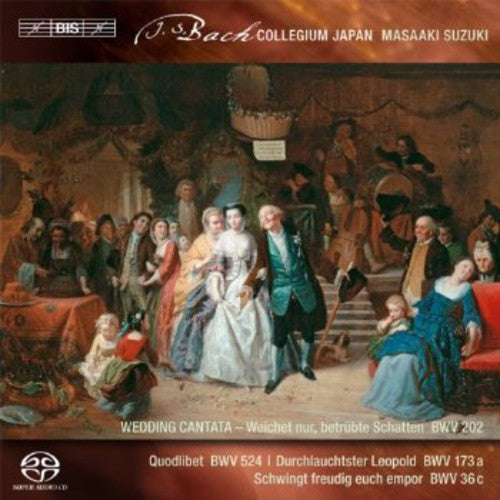 Bach: Secular Cantatas Vol 3 / Suzuki, Bach Collegium Japan