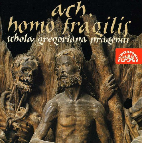 Ach, Homo Fragilis