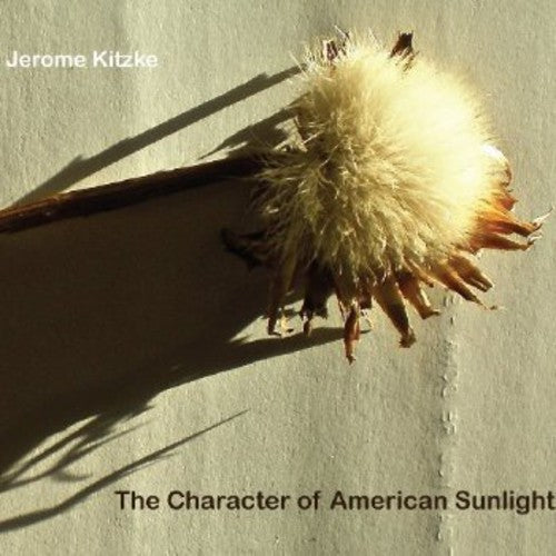 The Character of American Sunlight