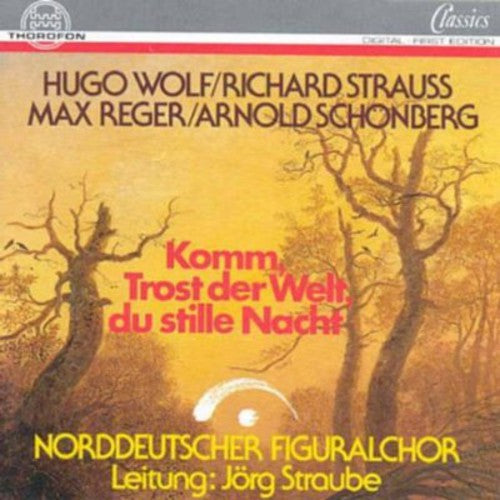 Wolf, H.: 6 Geistliche Lieder / Schoenberg, A.: Friede Auf E