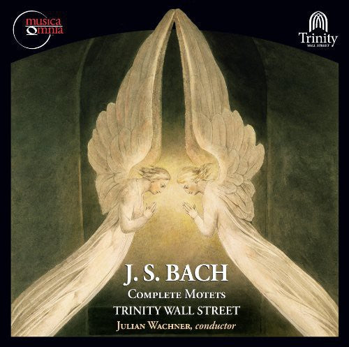 J.S. Bach: Complete Motets, BWV 118 & 225-230