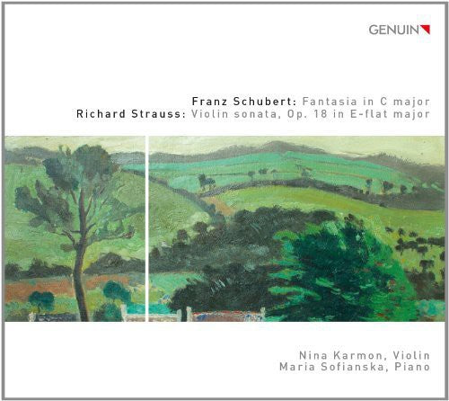 Schubert: Fantasy in C Major, Op. 159, D. 934 - Strauss: Vio