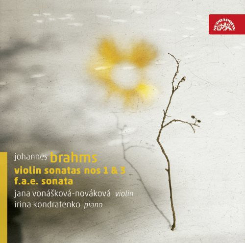 Brahms: Violin Sonatas Nos. 1 and 3 - F.A.E. Sonata