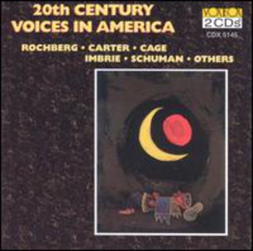 20th Century Voices in America