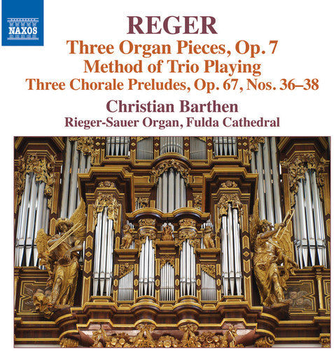 Reger: Organ Works, Vol. 16
