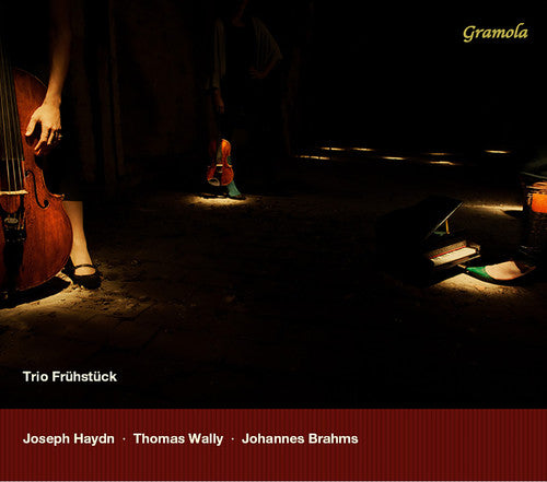 Haydn, Wally & Brahms: Works for Piano Trio