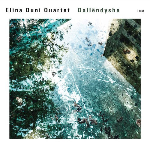 DALLENDYSHE