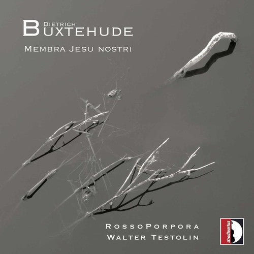 Buxtehude: Membra Jesu nostri, BuxWV 75