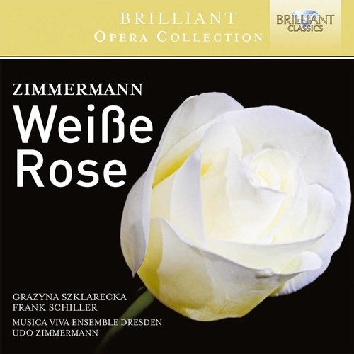 Zimmerman: Weisse Rose