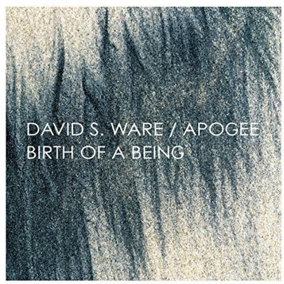 APOGEE / BIRTH OF A BEING
