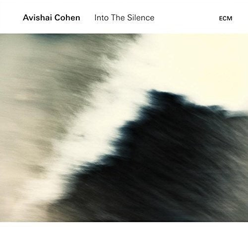 INTO THE SILENCE (VINYL)