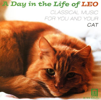 A Day In The Life Of Leo - Music For You & Your Cat
