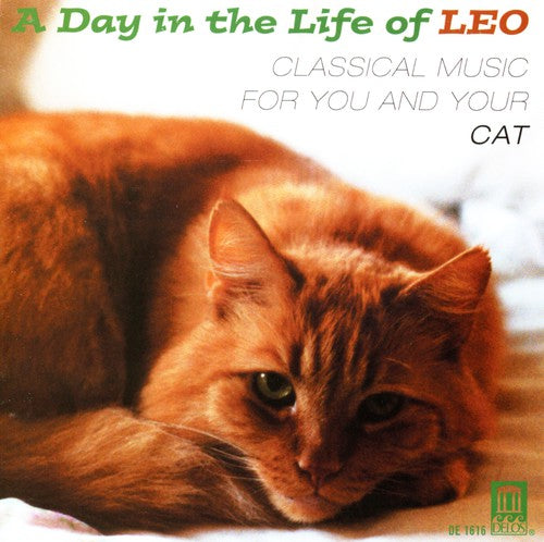 A Day In The Life Of Leo - Music For You & Your Cat