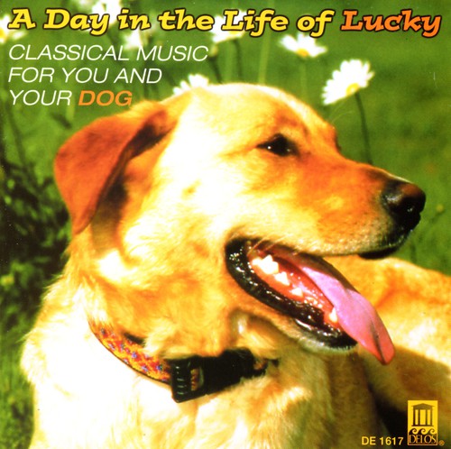 A Day In The Life Of Lucky - Music For You & Your Dog