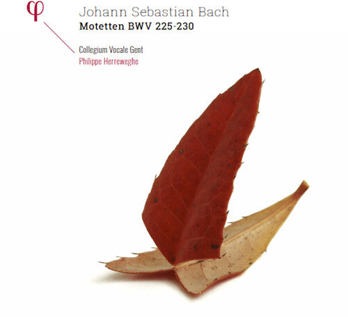 Bach: Motetten Bwv 225-230 (Uk)