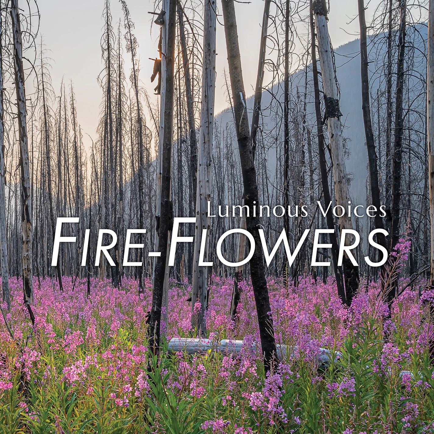Brahms & Wadsworth: Fire-Flowers / Luminous Voices