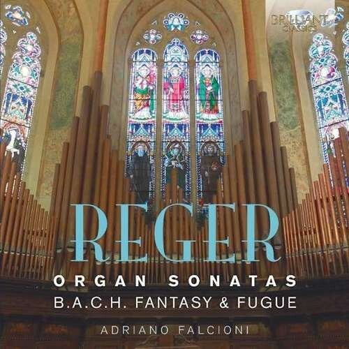 Reger: Organ Sonatas / Falcioni