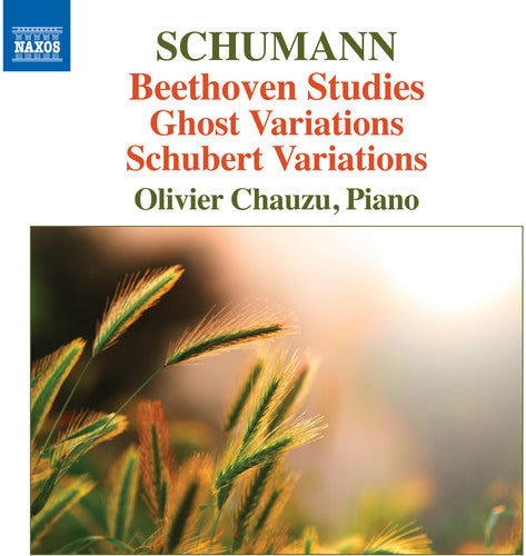 Schumann: Beethoven Studies, Ghost Variations & Schubert Variations / Chauzu