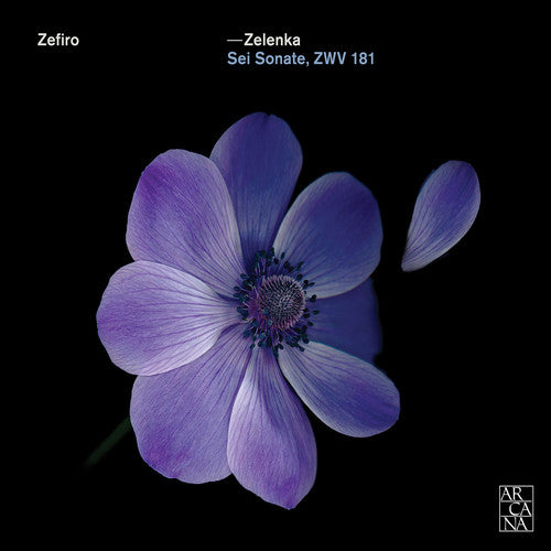 Zelenka: 6 Sonatas, ZWV 181
