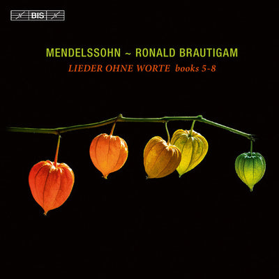 Mendelssohn: Lieder ohne Worte, Books 5-8 / Brautigam