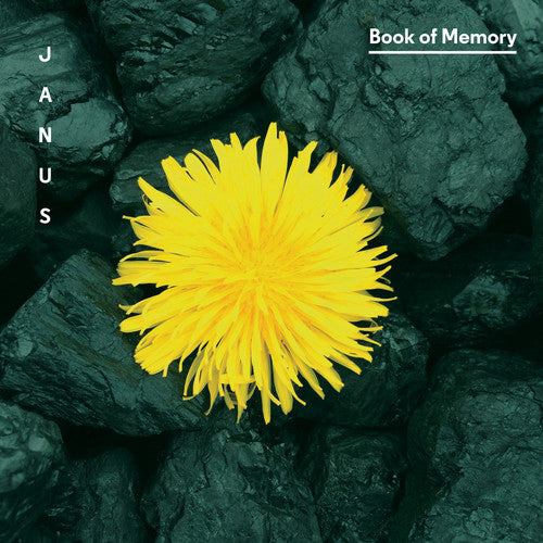 Book of Memory