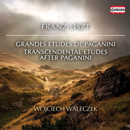 Liszt: Paganini & Transcendental Etudes / Waleczeka