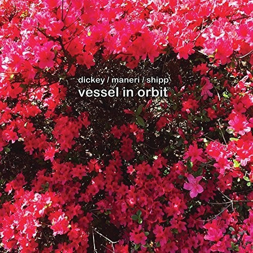 VESSEL IN ORBIT