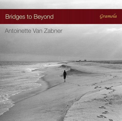 Bridges to Beyond / Zabner