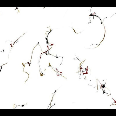 WINGED SERPENTS - ENCOMIUMS FOR CECIL TAYLOR / VAR