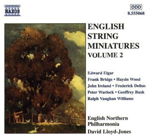 English String Miniatures Vol 2 / Lloyd-jones, Et Al