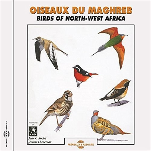 OISEAUX DU MAGHREB - Birds of North-West Africa