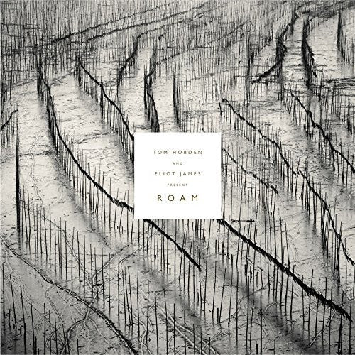 PRESENT: ROAM