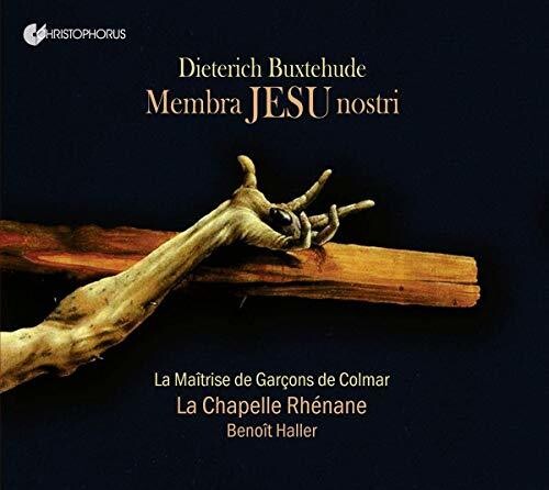 MEMBRA JESU NOSTRI