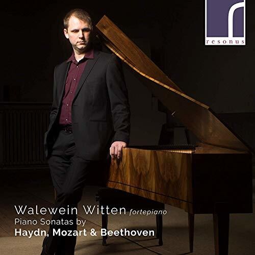 Haydn, Mozart & Beethoven: Piano Sonatas / Witten