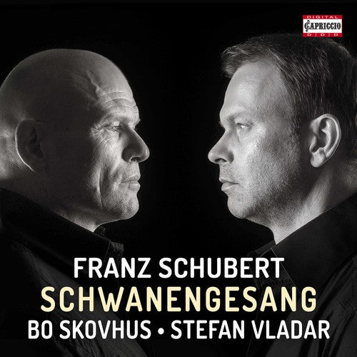 Schubert: Schwanengesang / Skovhus, Vladar