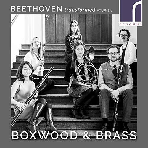 Beethoven Transformed, Vol. 1 / Boxwood & Brass