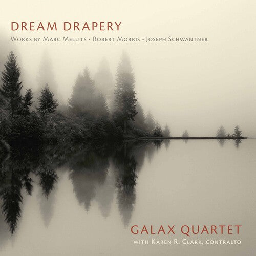 Dream Drapery: Works by Mellits, Morris & Schwantner / Galax Quartet