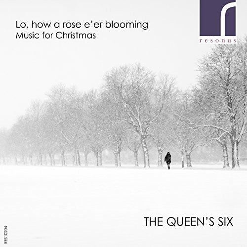 Lo, How a Rose E'er Bloometh / The Queen's Six