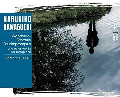 Schubert & Liszt: Piano Works